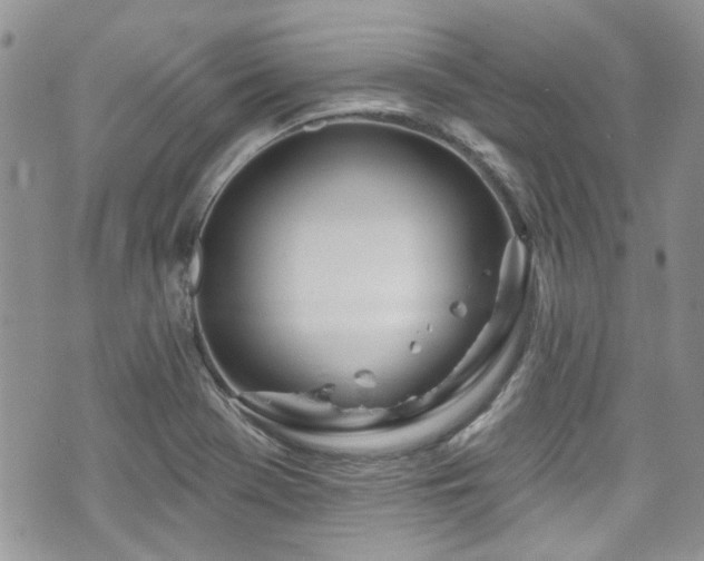 X0000070881369200606191304