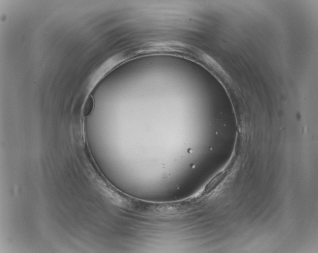 X0000070881370200606191304