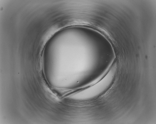 X0000070881371200606191304