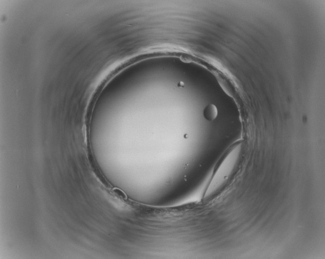 X0000070881372200606191304