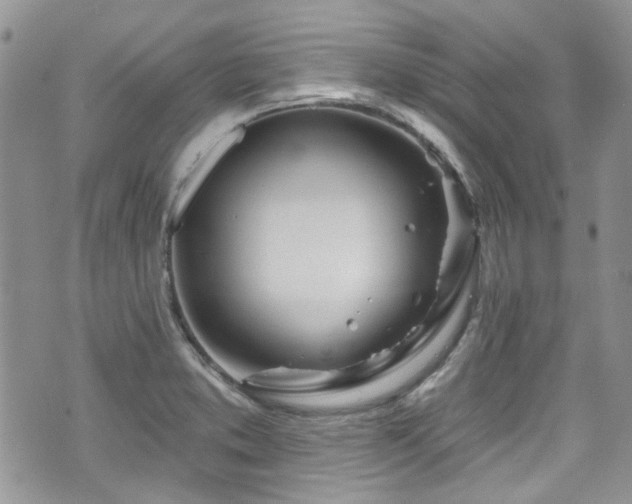 X0000070881373200606191304