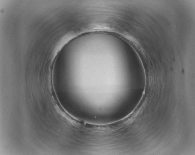 X0000070881374200606191304