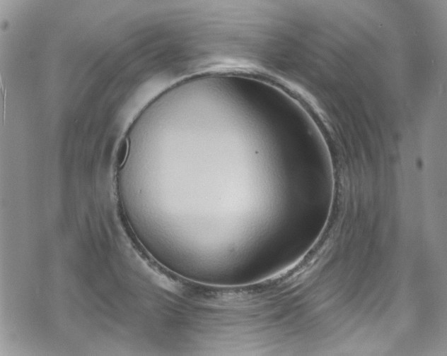 X0000070881375200606191304