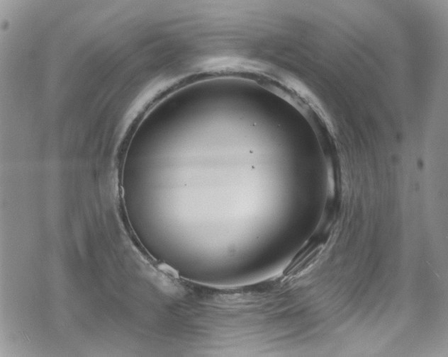 X0000070881376200606191304