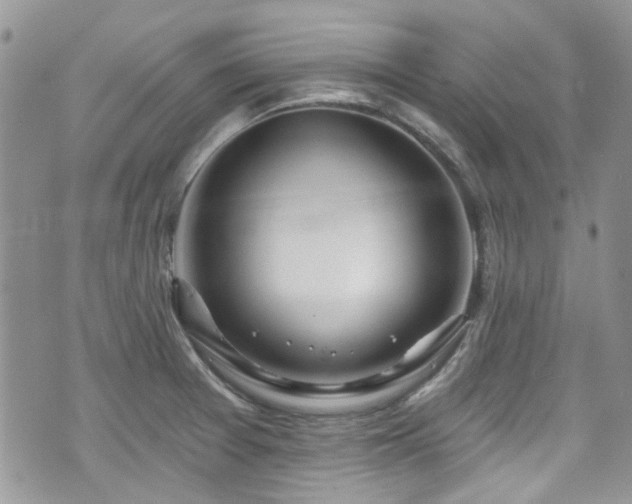 X0000070881377200606191304