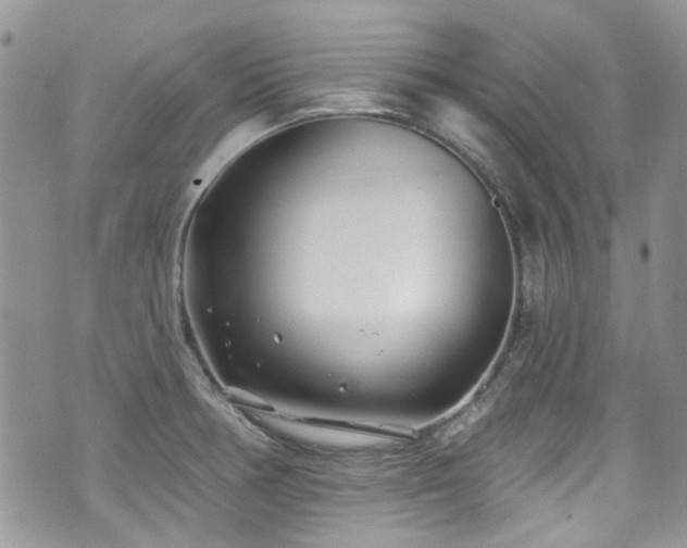 X0000070881378200606191304