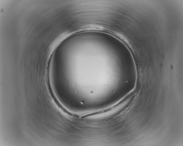 X0000070881379200606191304