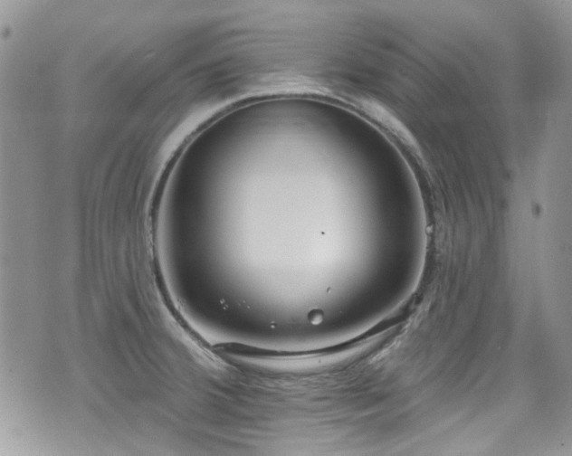 X0000070881380200606191304