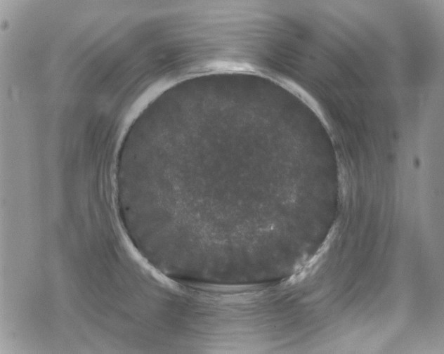 X0000070881381200606191304