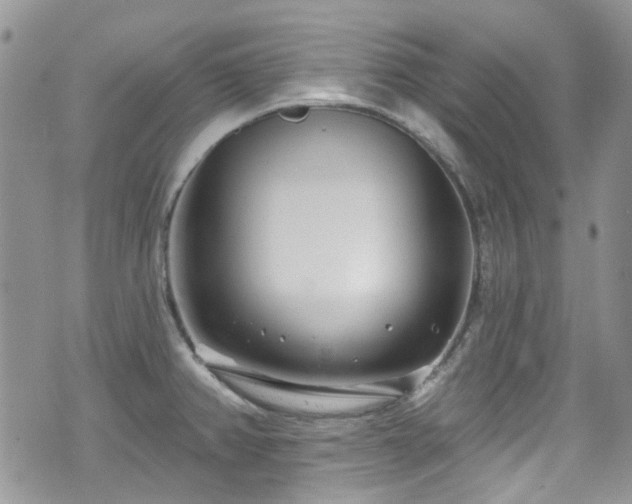 X0000070881382200606191304