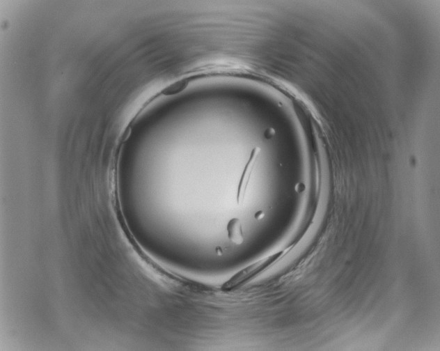 X0000070881383200606191304