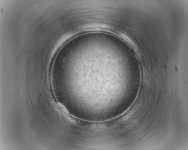 X0000070881384200606191304