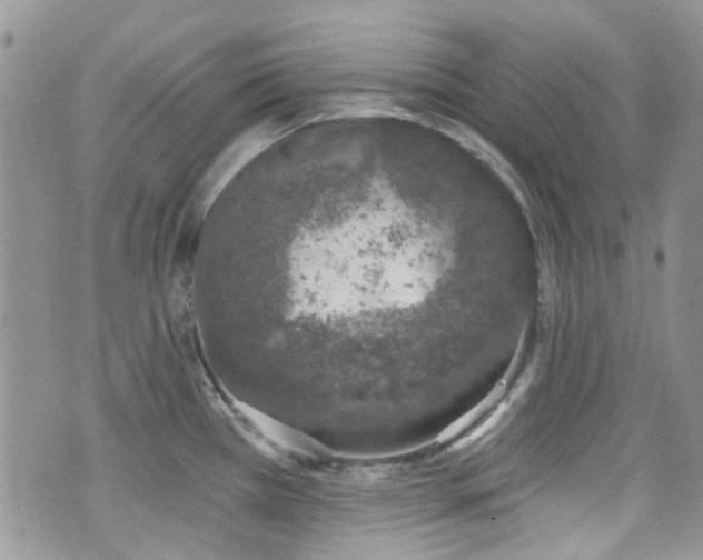 X0000070881385200606191304