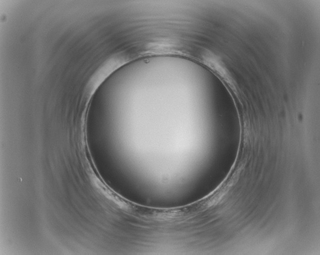 X0000070881386200606191304