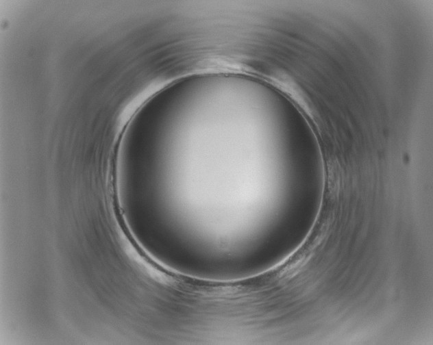 X0000070881387200606191304