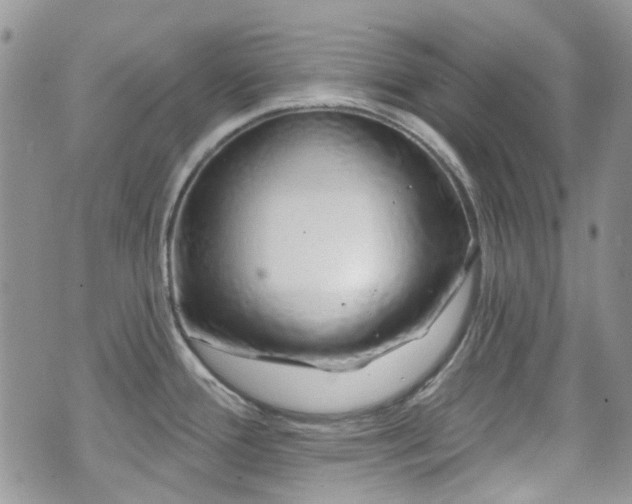 X0000070881388200606191304