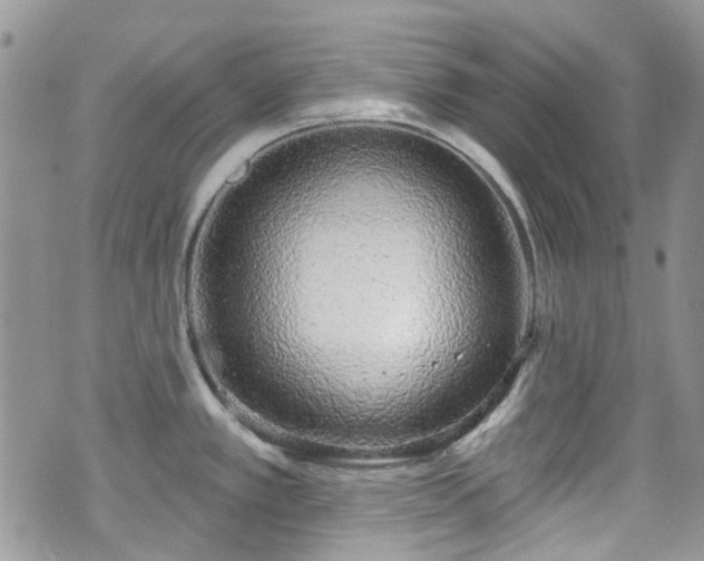 X0000070881389200606191304