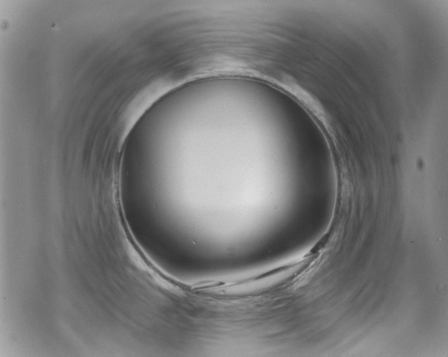 X0000070881390200606191304