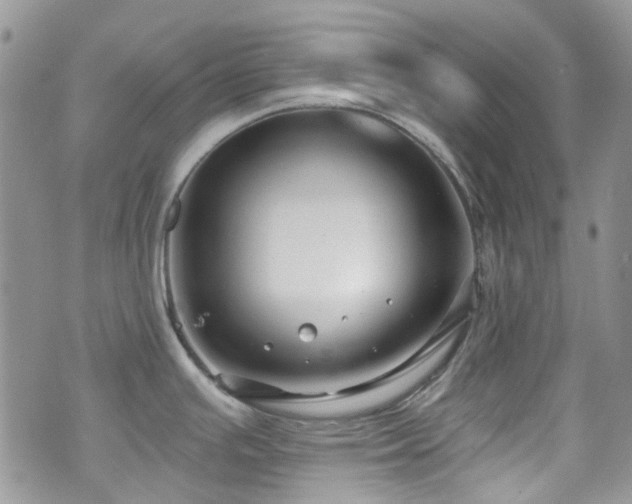 X0000070881391200606191304