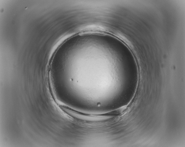 X0000070881392200606191304