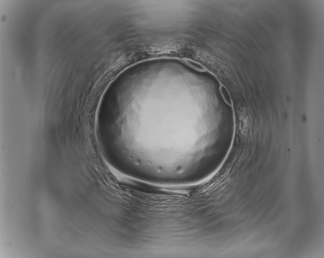 X0000070881393200606191303