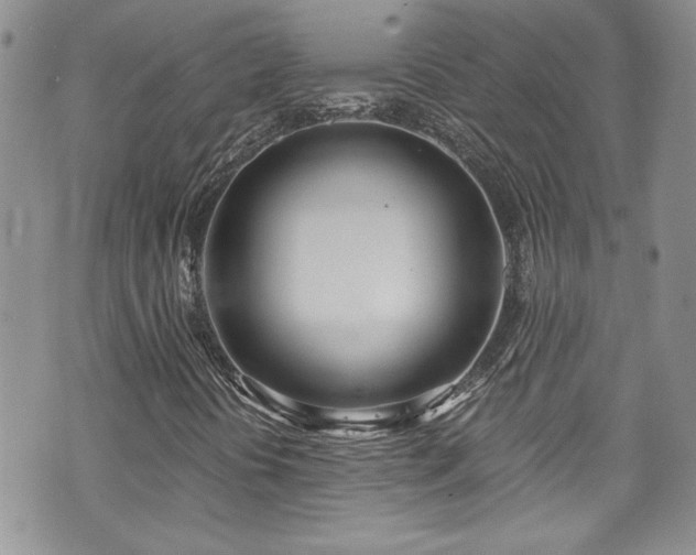 X0000070881394200606191303