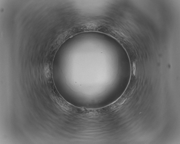 X0000070881395200606191303