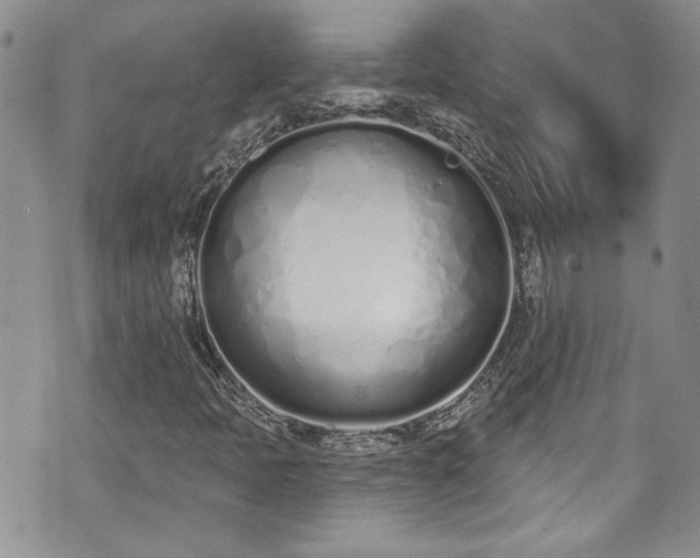 X0000070881397200606191303