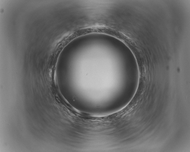 X0000070881398200606191303