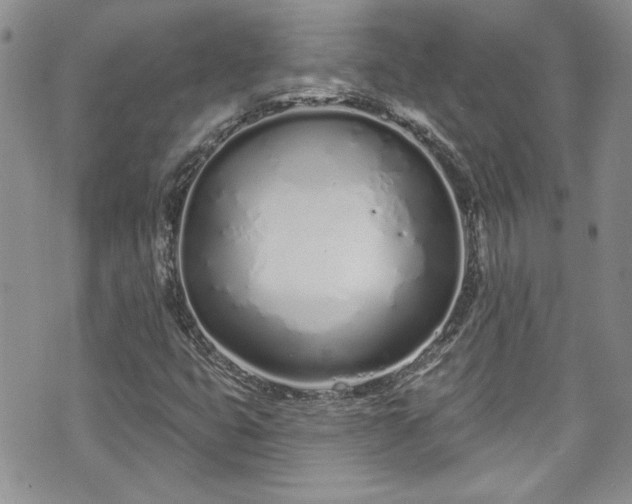 X0000070881399200606191303