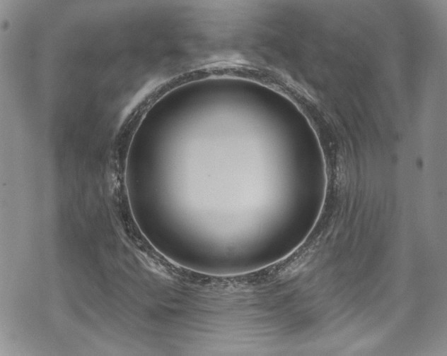 X0000070881400200606191303