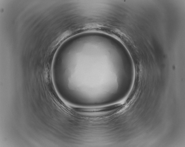 X0000070881401200606191303