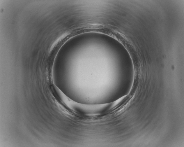 X0000070881402200606191303