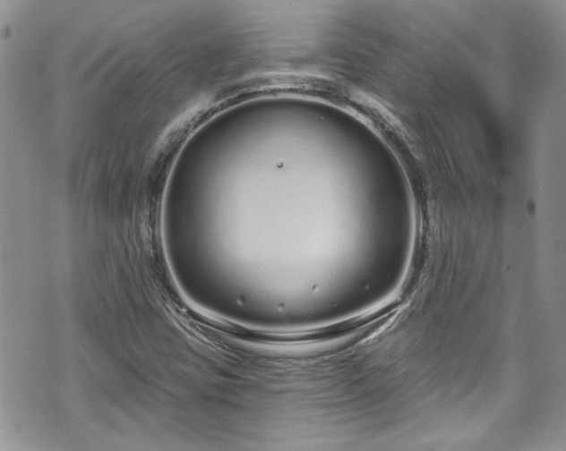 X0000070881403200606191303