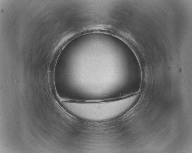 X0000070881404200606191303