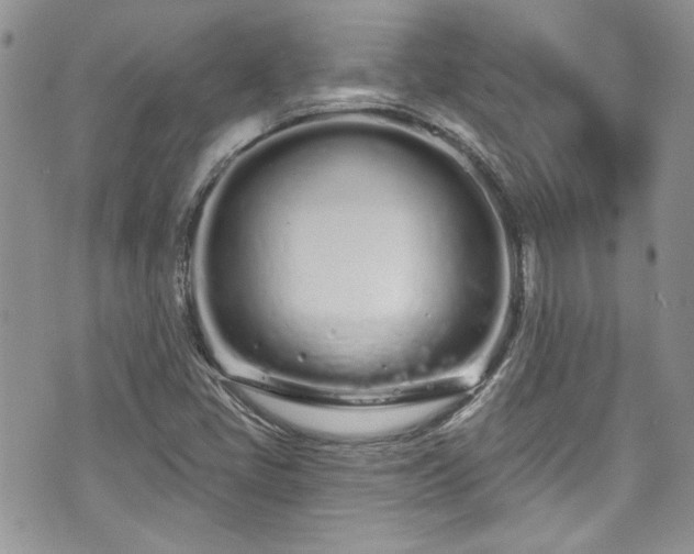 X0000070881405200606191303