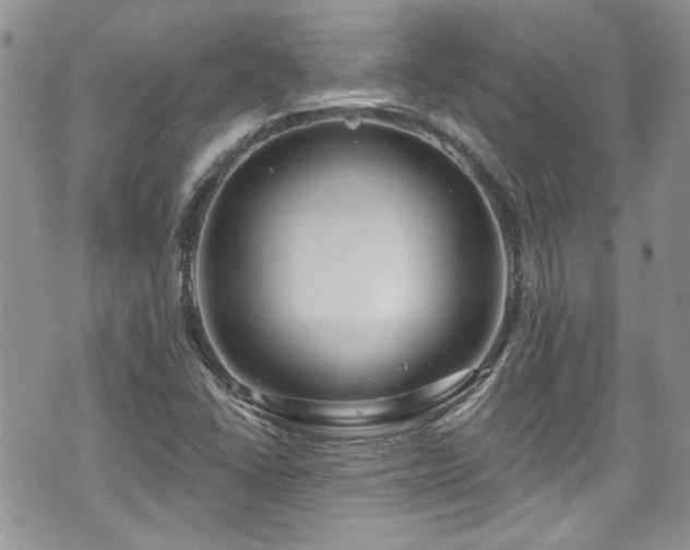 X0000070881406200606191303