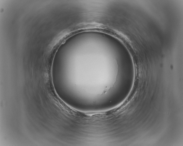 X0000070881407200606191303