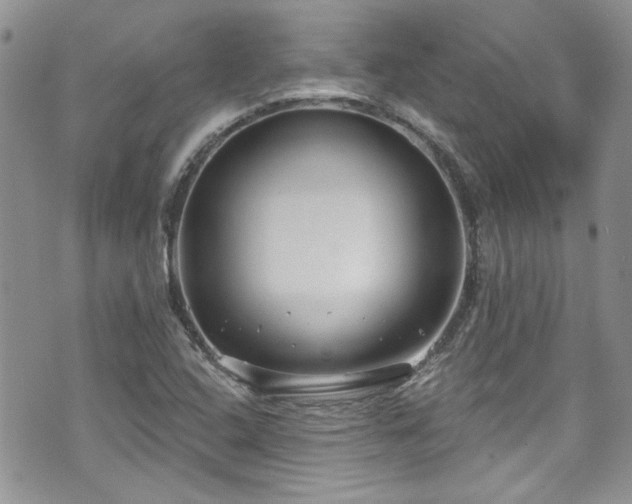 X0000070881408200606191303