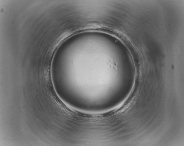 X0000070881409200606191303