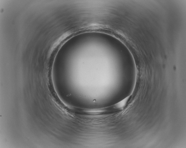 X0000070881410200606191303