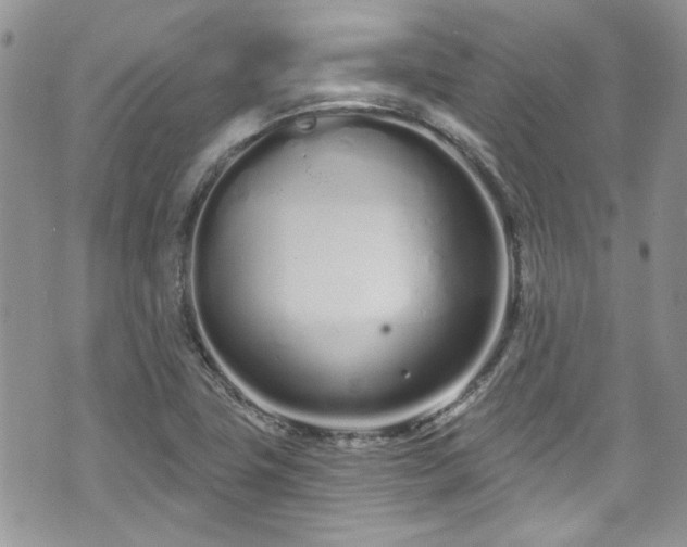 X0000070881411200606191303