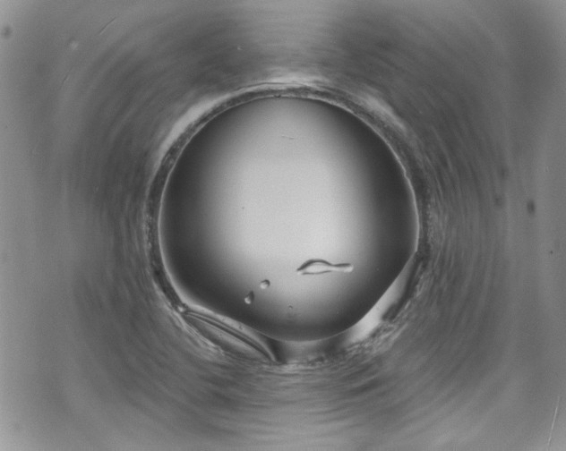 X0000070881412200606191304