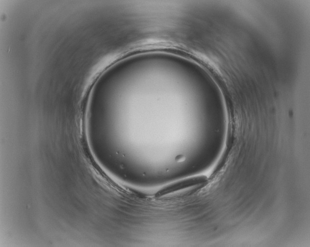 X0000070881413200606191304