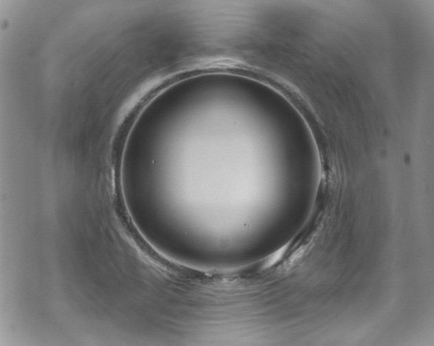 X0000070881414200606191304