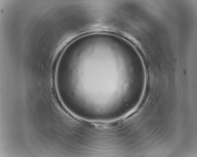 X0000070881415200606191304