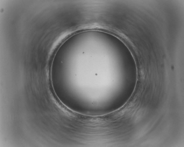 X0000070881416200606191304