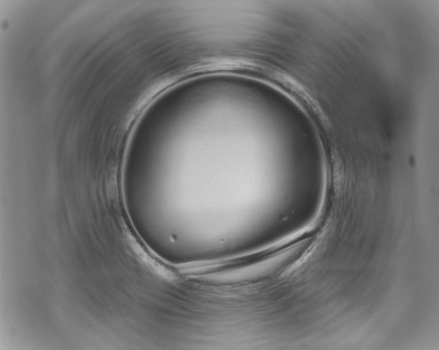 X0000070881417200606191304