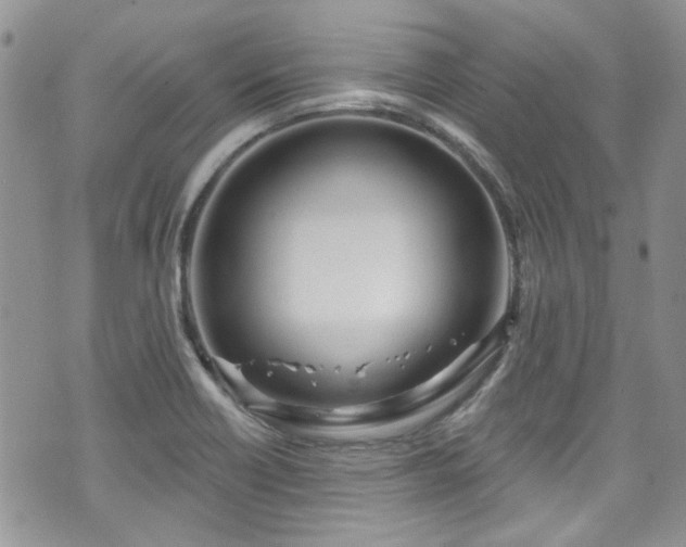 X0000070881418200606191304