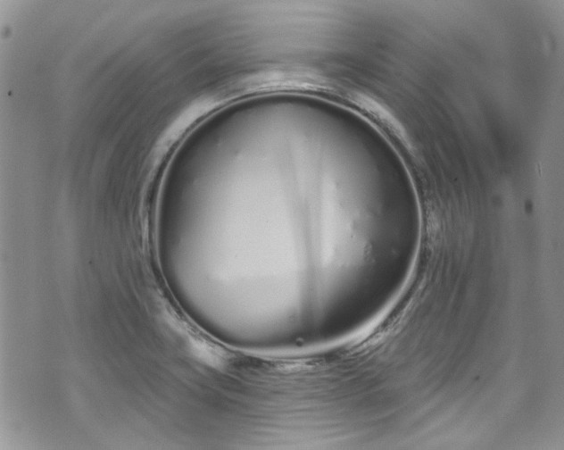 X0000070881419200606191304